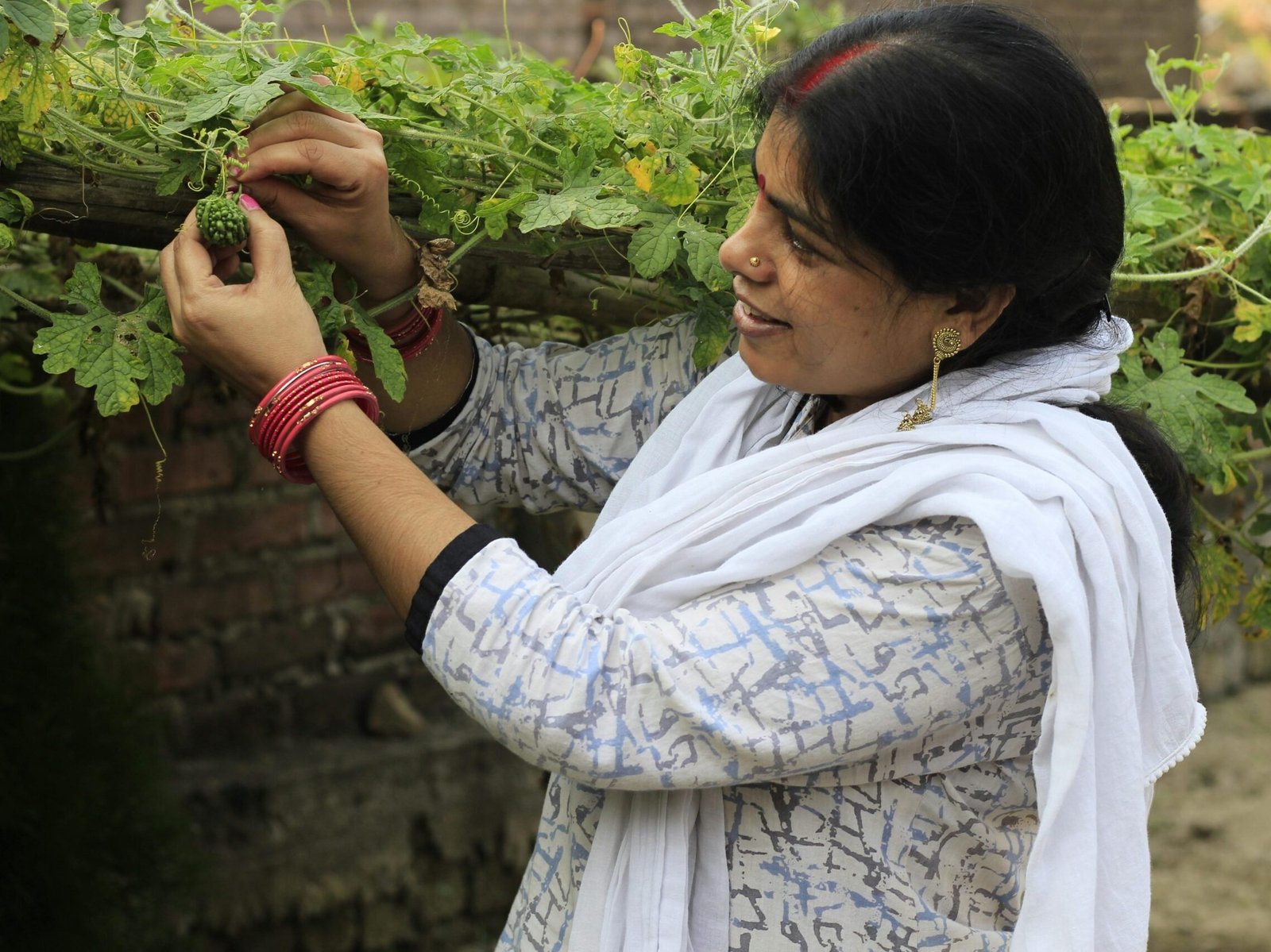 Pexels Faces Patna 188981 5707849 Scaled Edited